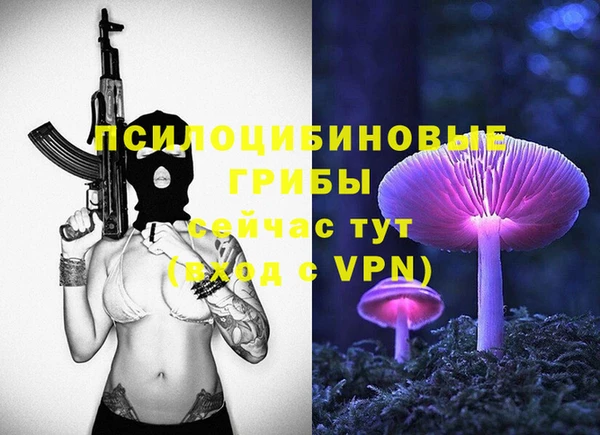 МДМА Ельня