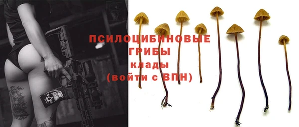 МДМА Ельня