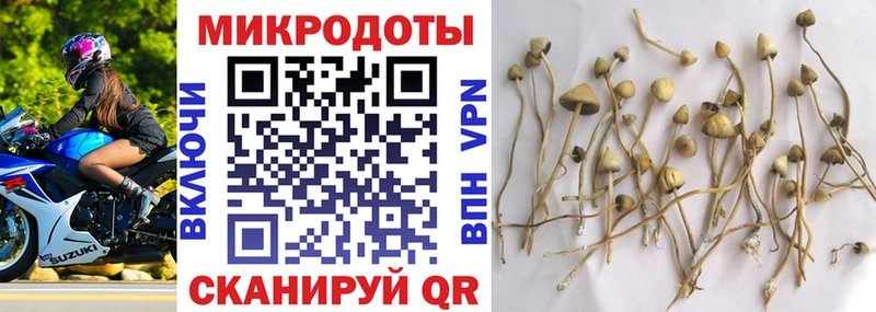 Псилоцибиновые грибы Psilocybe  дарнет шоп  МЕГА онион  Кашира 